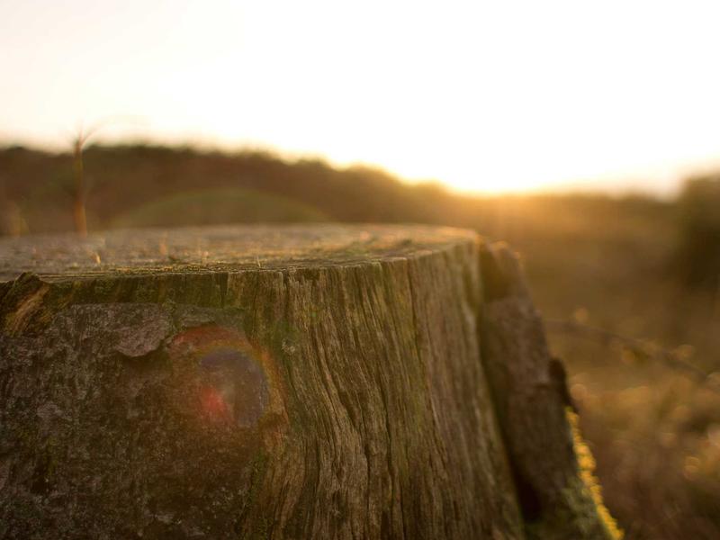 android screenshot 5